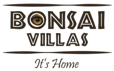 bonsai villas new logo