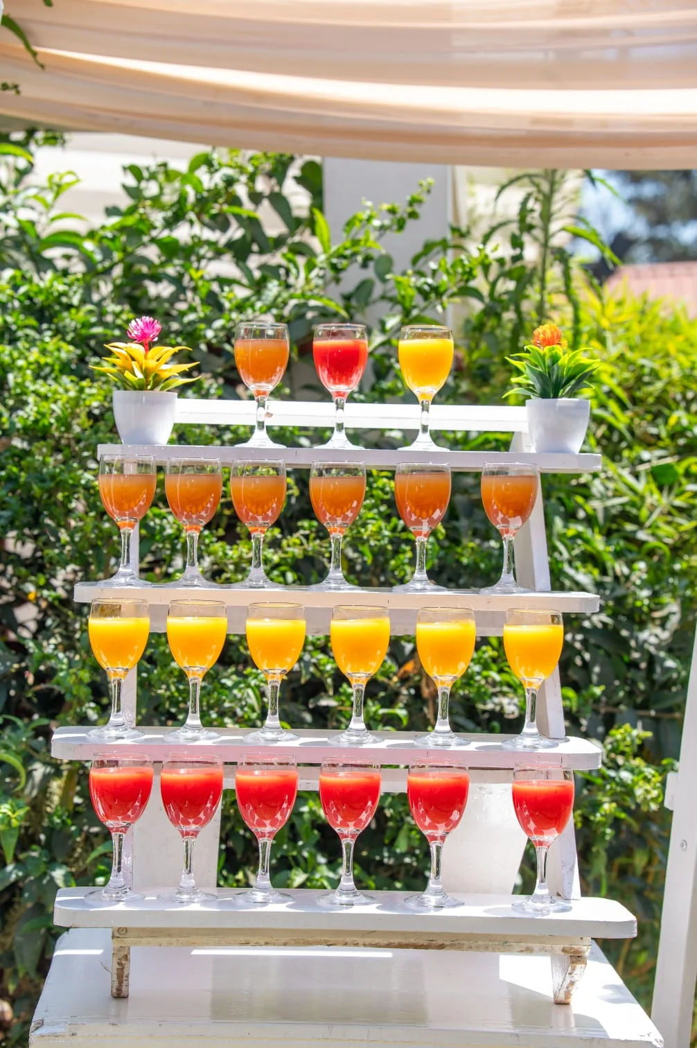 Colourful drinks arranged for event guests
